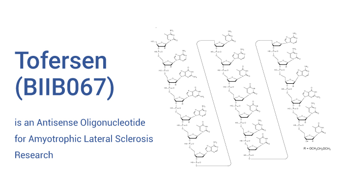Tofersen (BIIB067; ISIS-SOD1Rx) 2088232-70-4